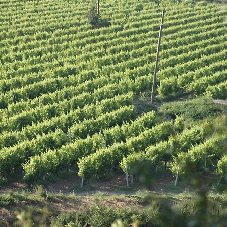 Apartmani Dienes Novi Vinodolski Ngoại thất bức ảnh