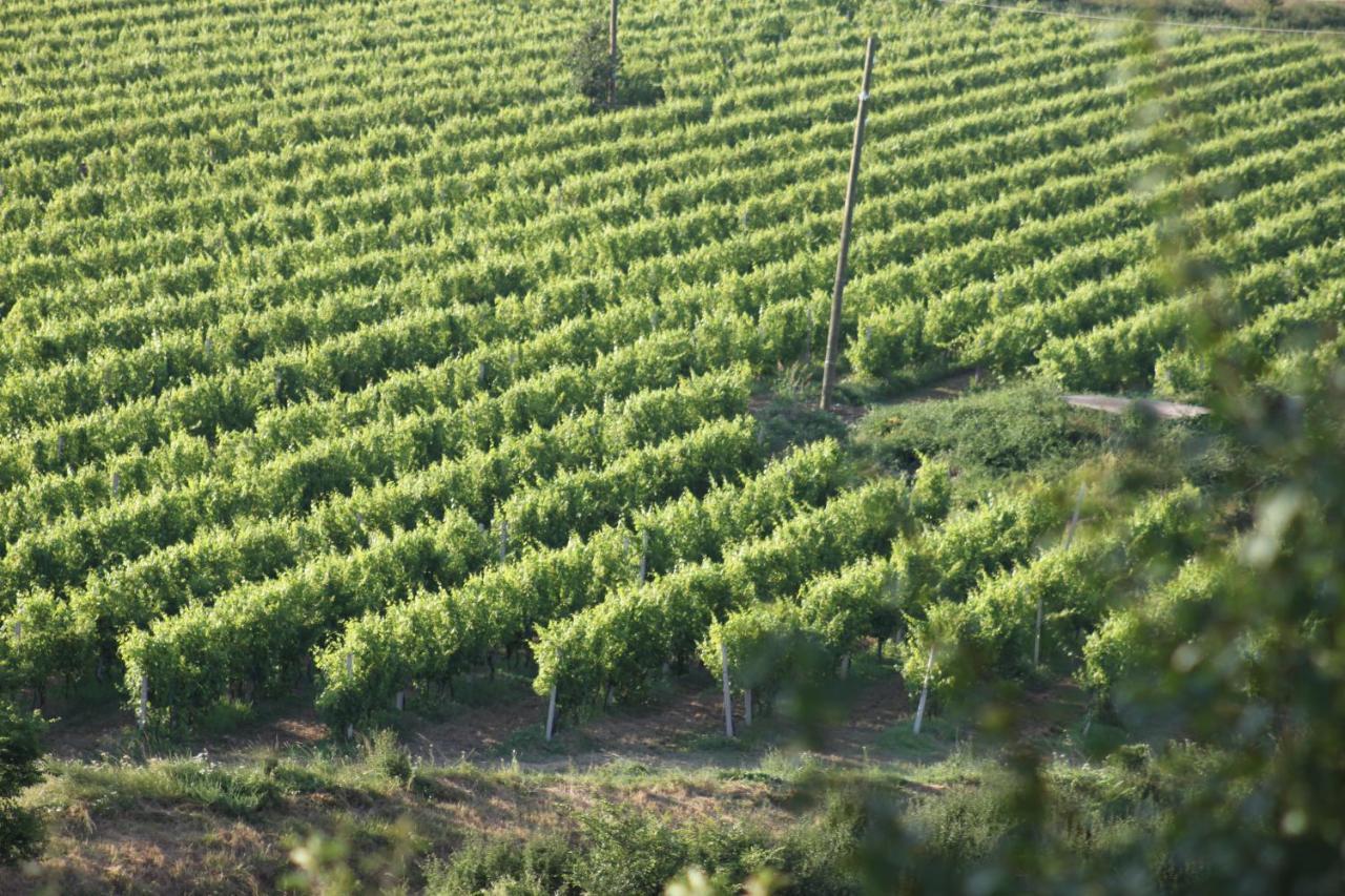 Apartmani Dienes Novi Vinodolski Ngoại thất bức ảnh